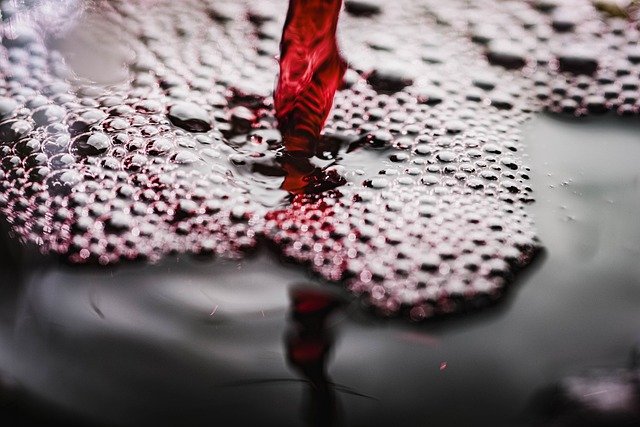 Vin rouge